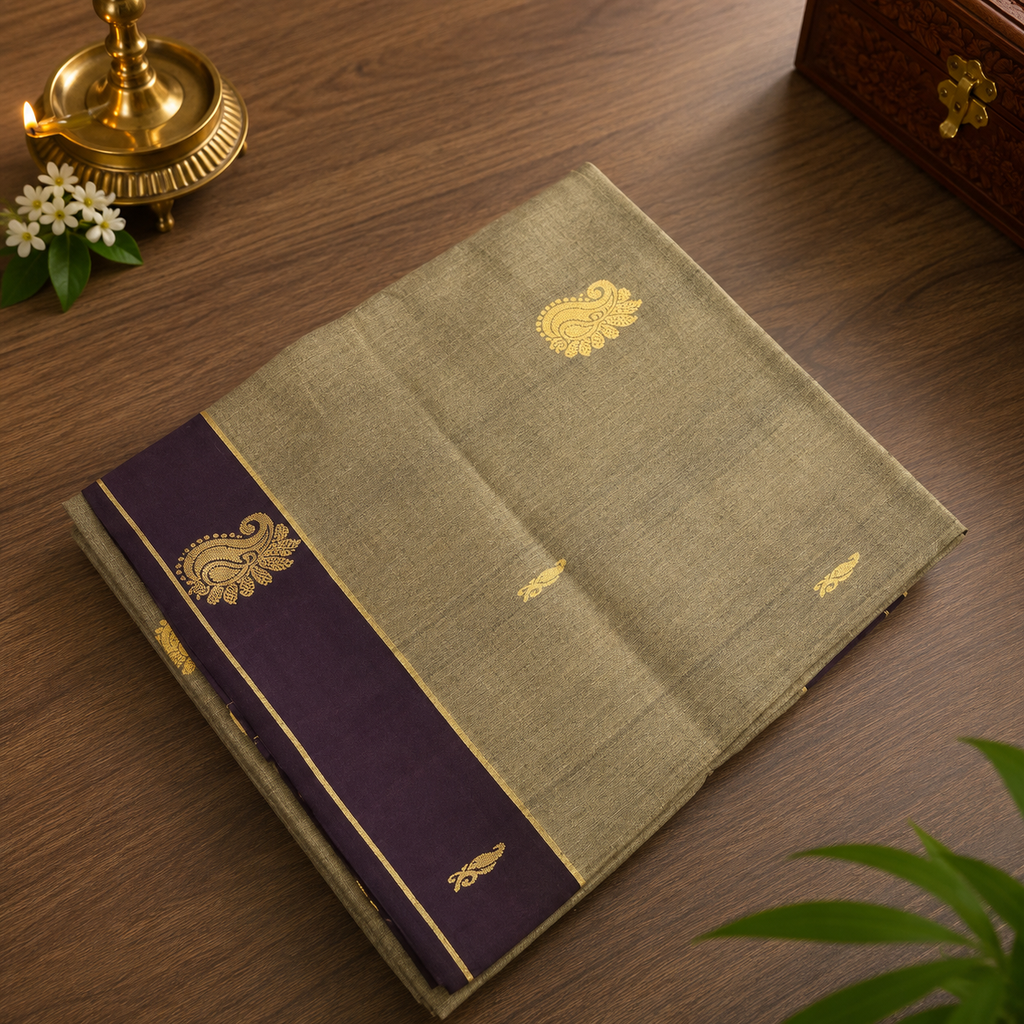 Vegan silk saree